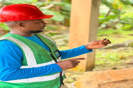 Coconut Weevil Good Agricultural Practices (GAP)