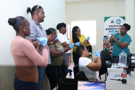 Capacity Building Training Programme