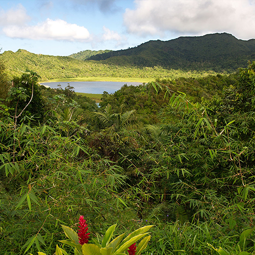 Forestry & National Parks
