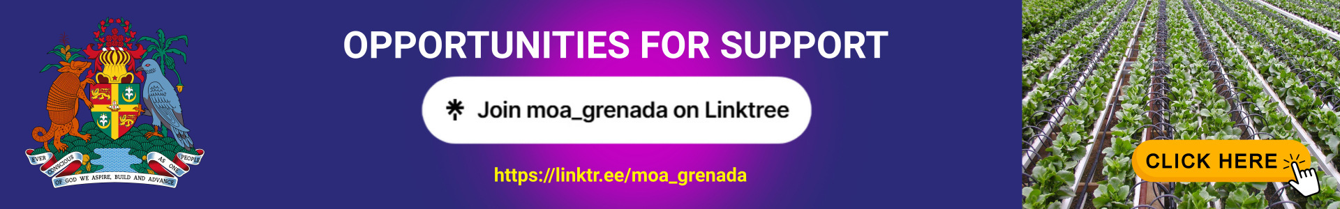 Opportunities for Support