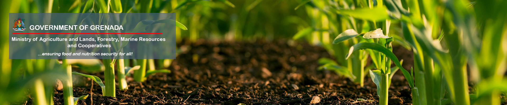 Government of Grenada